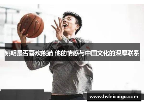姚明是否喜欢熊猫 他的情感与中国文化的深厚联系