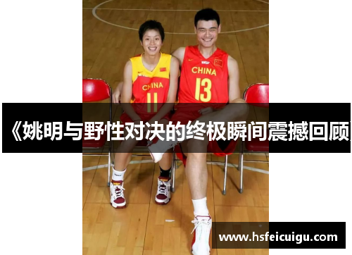 《姚明与野性对决的终极瞬间震撼回顾》