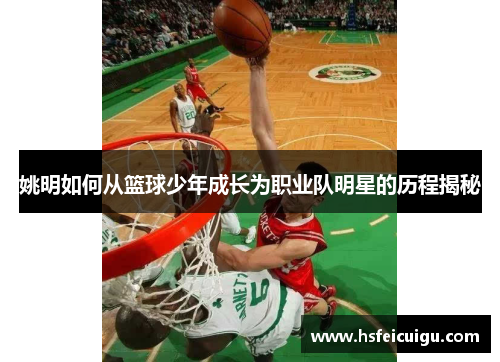 姚明如何从篮球少年成长为职业队明星的历程揭秘