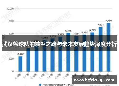 武汉篮球队的转型之路与未来发展趋势深度分析